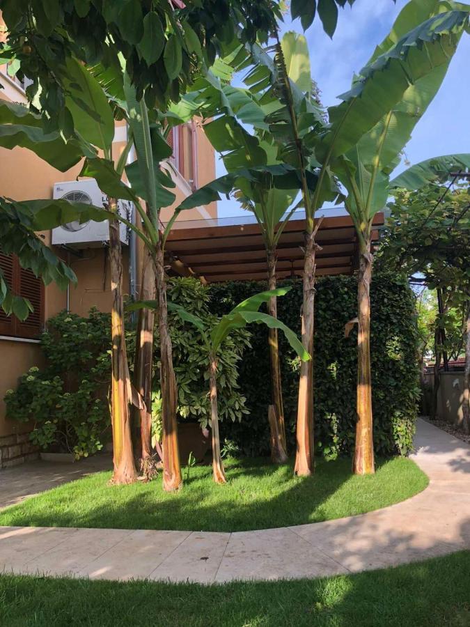רוביני Villa Dolores מראה חיצוני תמונה