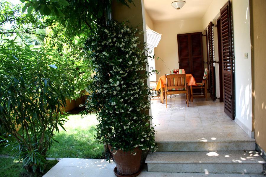 רוביני Villa Dolores מראה חיצוני תמונה