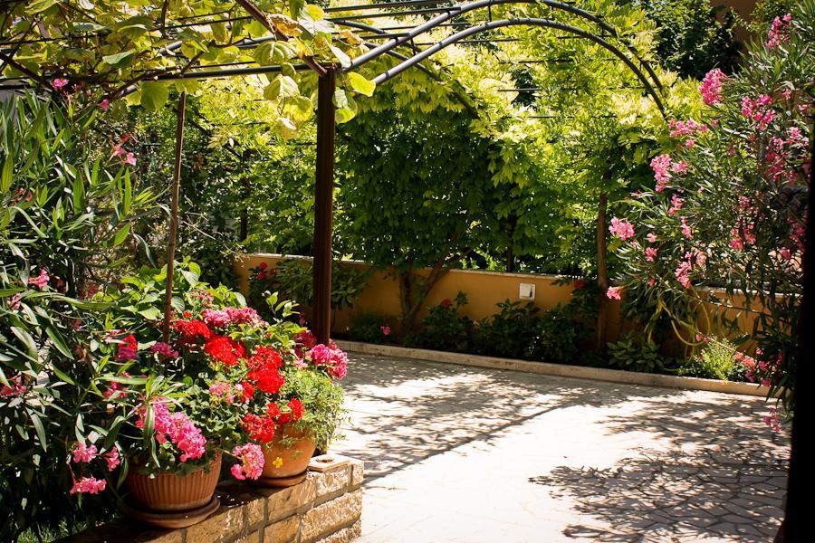 רוביני Villa Dolores מראה חיצוני תמונה
