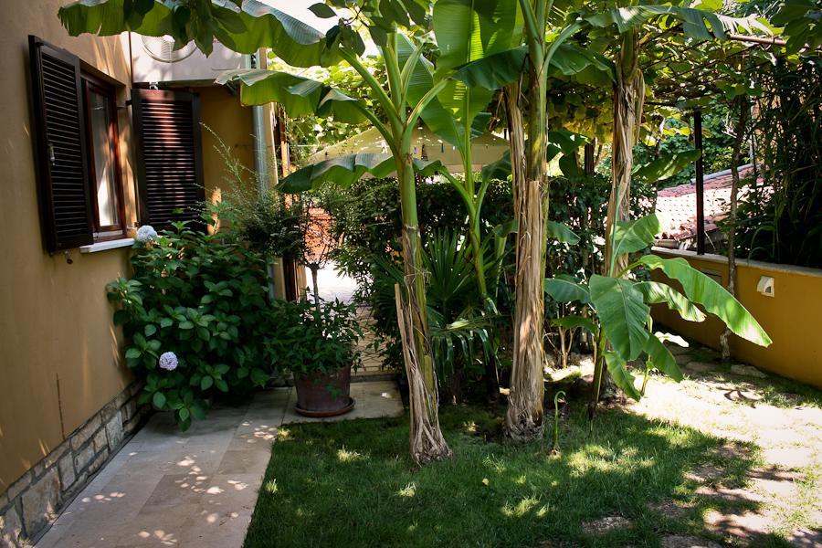 רוביני Villa Dolores מראה חיצוני תמונה
